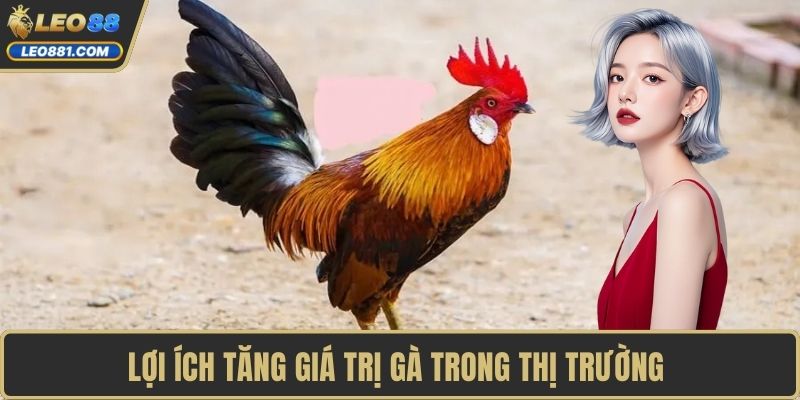 Lợi ích tăng giá trị gà trong thị trường