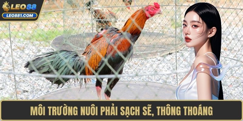 Môi trường nuôi phải sạch sẽ, thông thoáng